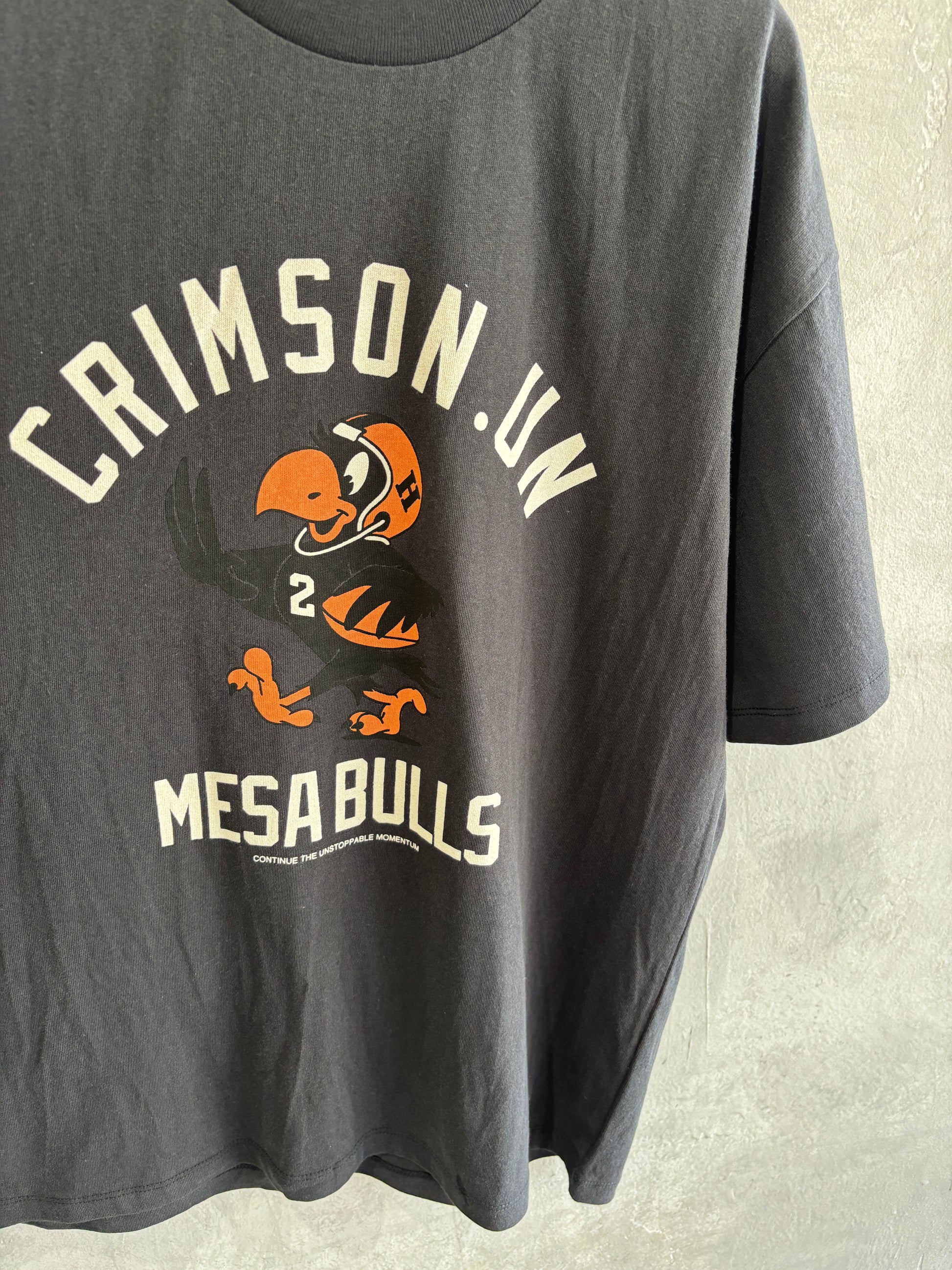 【予約販売】men'sサイズ／CRIMSON.UN Tシャツ／ING