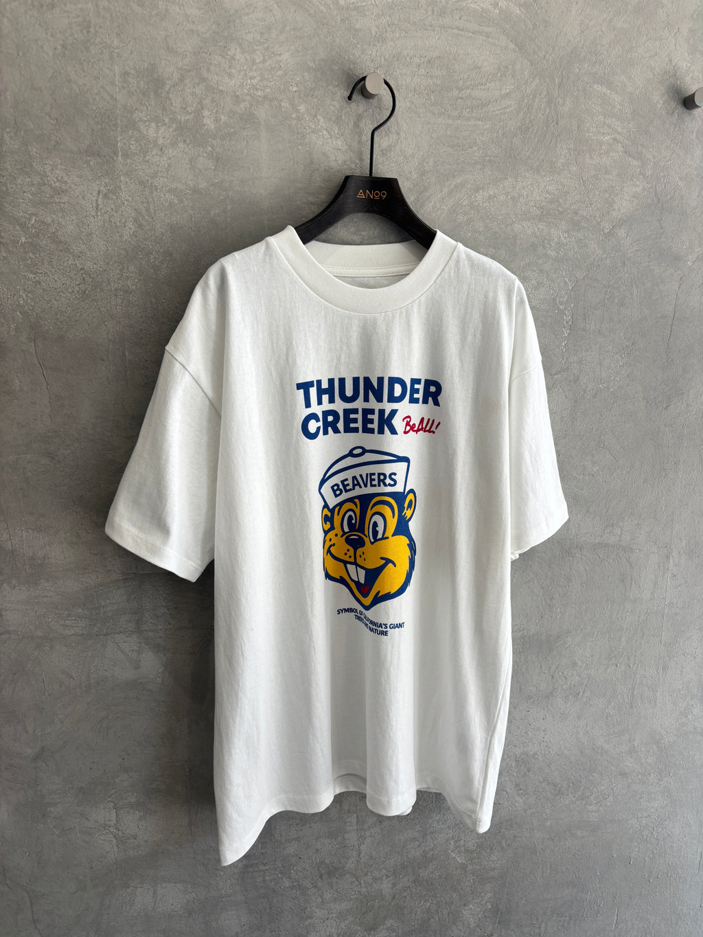 【予約販売】men'sサイズ／THUNDER CREEK Tシャツ／ING