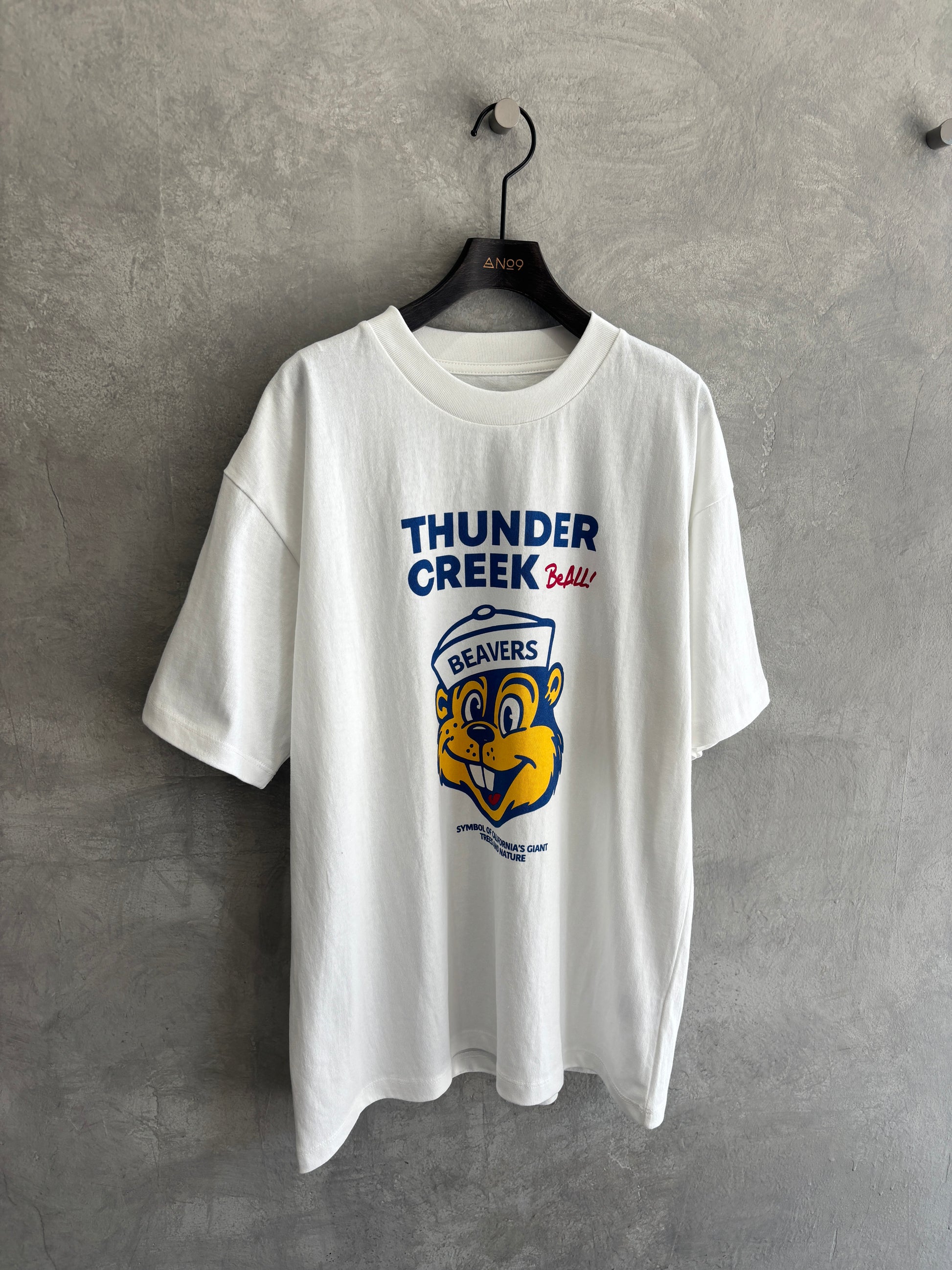【予約販売】men'sサイズ／THUNDER CREEK Tシャツ／ING