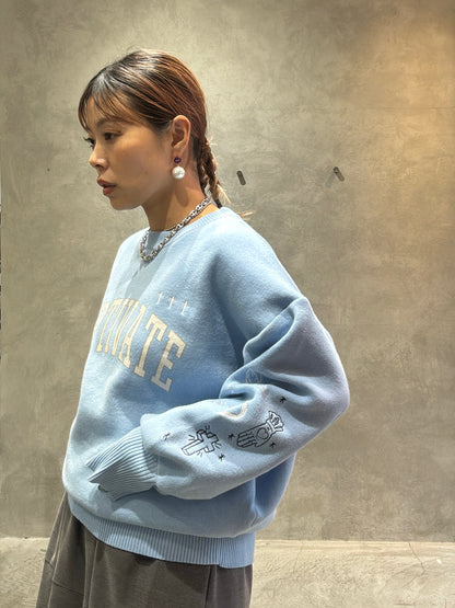 スウェットライク刺繍ニット／palm RICHE