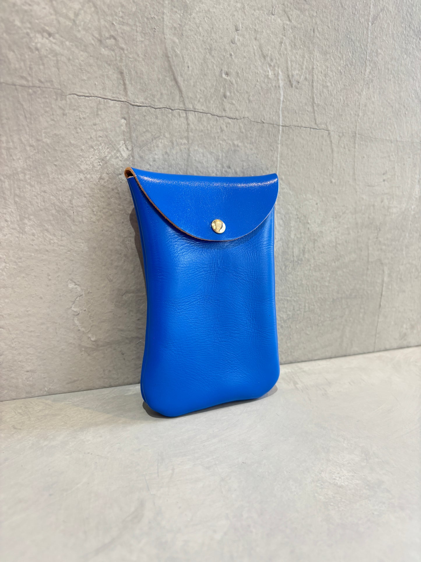 レザー縦型マルチケース／OS241118