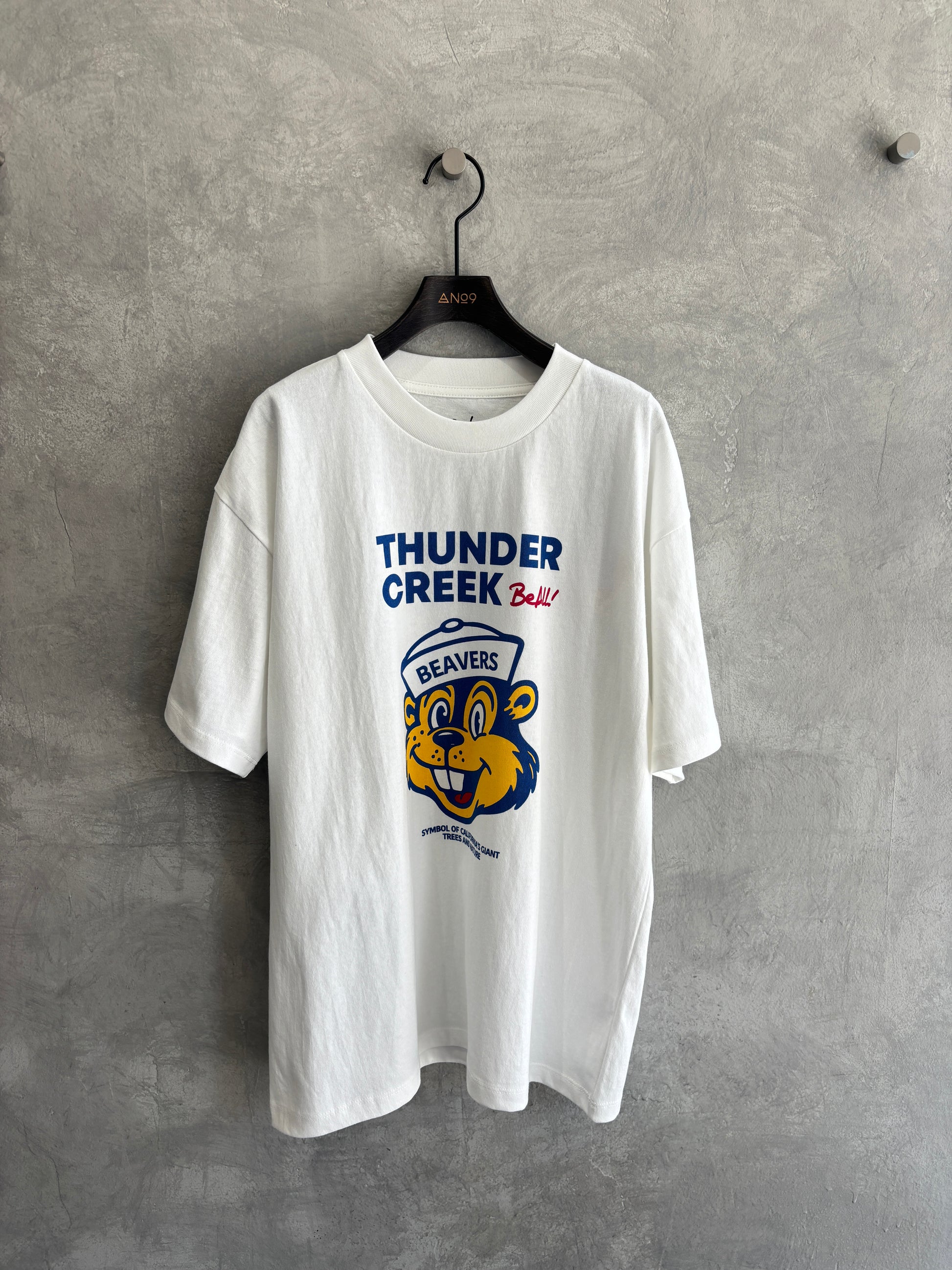 【予約販売】men'sサイズ／THUNDER CREEK Tシャツ／ING