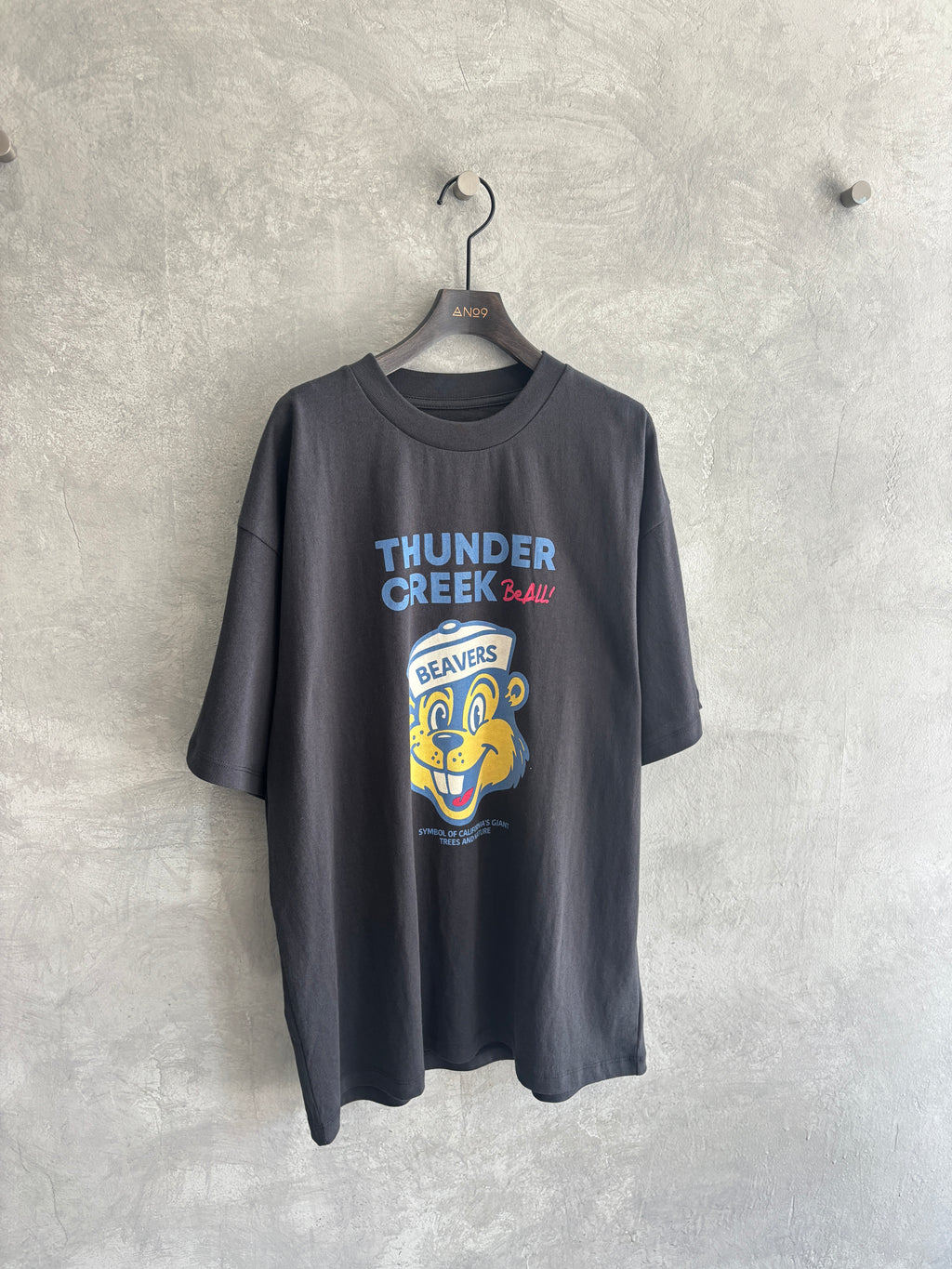【予約販売】men'sサイズ／THUNDER CREEK Tシャツ／ING