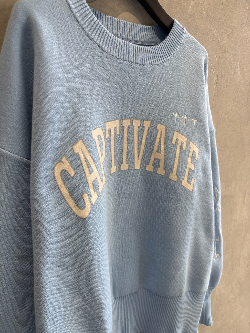 スウェットライク刺繍ニット／palm RICHE